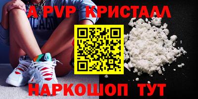 крисы Кингисепп
