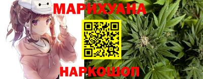 крисы Кингисепп