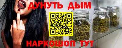 крисы Кингисепп