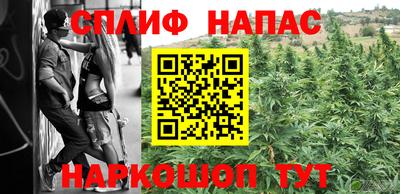 крисы Кингисепп
