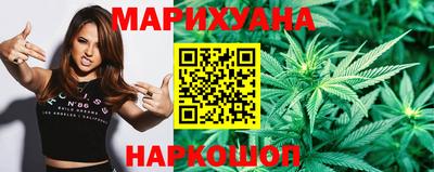 крисы Кингисепп