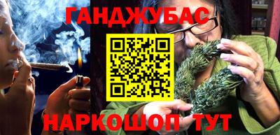 крисы Кингисепп