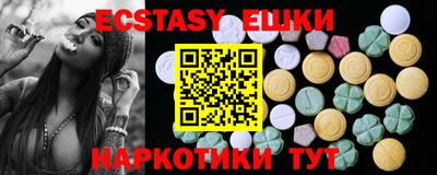 крисы Кингисепп