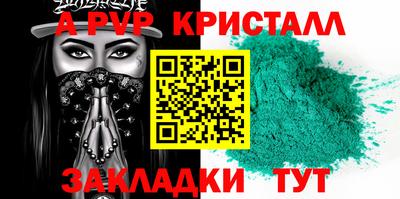 крисы Кингисепп