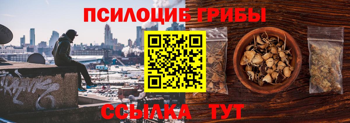 Галлюциногенные грибы Psilocybe Комсомольск-на-Амуре
