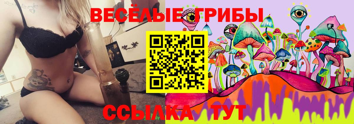 Комсомольск-на-Амуре  цена наркотик  Вход с VPN  Псилоцибиновые грибы MAGIC MUSHROOMS 